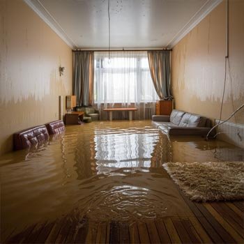 Water Damage Restoration California